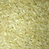 برنج چمپا چیتاب و صالحون|خوردنی و آشامیدنی|یاسوج, |دیوار