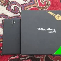 گوشی blackberry evolve