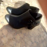 کفش شیک|کیف، کفش، کمربند|سرپل ذهاب, |دیوار