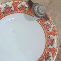 حلزون سالم زنده