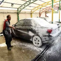 نیروی کار کارواش