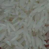 برنج فجر سوزنی ۹۰روزه بشرط