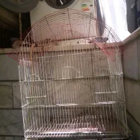 قفس پرندگان سالم و تمیز|لوازم جانبی حیوانات|کرج, دولت‌آباد|دیوار