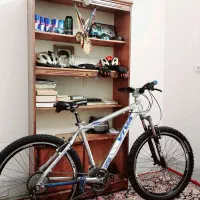 دوچرخه ویوا۲۶ تنه m