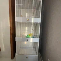 قفس اروپایی ۳ طبقه