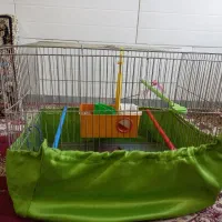 قفس پرنده|لوازم جانبی حیوانات|همدان, |دیوار