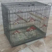فروش قفس پرنده