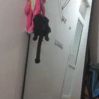 مبل پرده اینه|مبلمان خانگی و میز عسلی|بندر کنگان, |دیوار