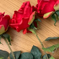 گل رز ۵ شاخه|گل مصنوعی|گنبد کاووس, |دیوار