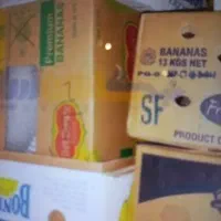 فروش فوری کارتن موزی