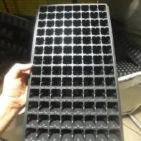 فروش سینی نشاء ۱۱۲ تایی