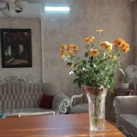 80متری-دو-خواب-با-پارکینگ-مطهری-شمالی