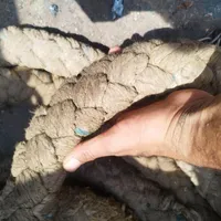 طناب 2 اینچ ابریشمی|ابزارآلات|خرمشهر, |دیوار