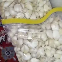 سیر دون شده سیر همدان|خوردنی و آشامیدنی|تهران, بهارستان|دیوار
