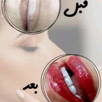 نیازمند مدل شیدلب|خدمات آرایشگری و زیبایی|بوشهر, |دیوار