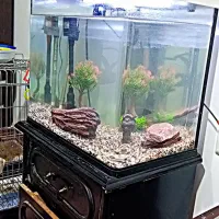 آکواریوم شیشه‌خم مدل دلسا