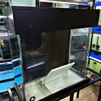 آکواریم شیشه خم سالم با وسایل کامل