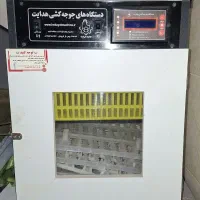 دستگاه جوجه کشی هدایت