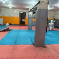 آموزش تخصصی کیوکوشین و دفاع شخصی کاربردی|خدمات آموزشی|مشهد, کوشش|دیوار