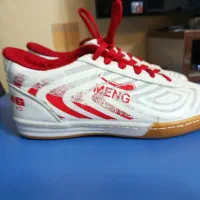 کفش فوتبال سالنی