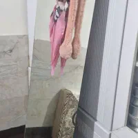 آینه قدی|آینه|قم, انصار‌الحسین|دیوار