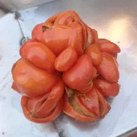 اب انار و انگور وگوجه گیری|خدمات پذیرایی، مراسم|بجنورد, |دیوار