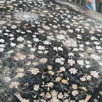 فرش اقس.اط جایزه رایگان ببر