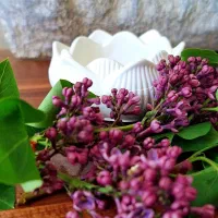 دکوری های سنگی زیبا