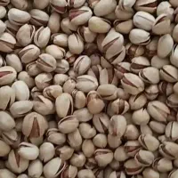 پسته|خوردنی و آشامیدنی|فردوس (خراسان), |دیوار