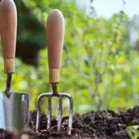 کارگر روز مزد هستم