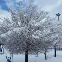 برف روبی و نظافت حیاط و پشت بام و داخل خانه