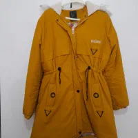 کارشناسان کلاه دار