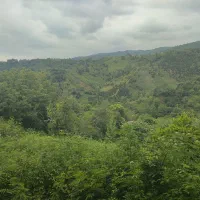 زمین ویو دار440 متری دارای خوش قیمت