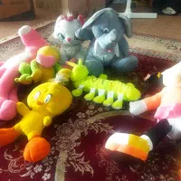 عروسک دنیای عروسکها|اسباببازی|اصفهان, دانشگاه اصفهان|دیوار