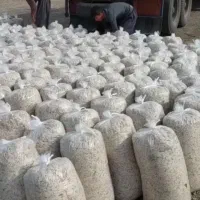 فروش تفاله چغندر و تفاله سیب