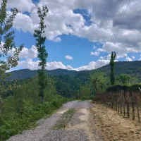 زمین بزرگ لاهیجان با خانه و باغ ویو ابدی|فروش زمین و ملک کلنگی|لاهیجان, کوه بیجار|دیوار