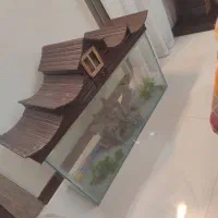 آکواریوم تمیز