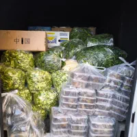 بادمجان سرخ و کبابی|خوردنی و آشامیدنی|تهران, هفت حوض|دیوار