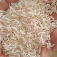 25 کیلو برنج فجر کیلو