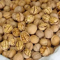 گردو کاغذی اعلا ایرانی درجه یک به صورت عمده و خرده|عمده‌فروشی|خمینی‌شهر, |دیوار