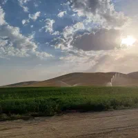 7هکتار-نیم-چاه-شیش-دانگ