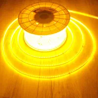 ریسه شیلنگ نورمخفی وایرلس گارانتی دار|ریسه و چراغ تزئینی|تبریز, |دیوار