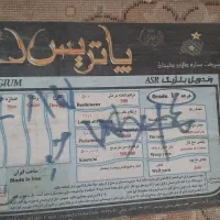 فرش|فرش|بهشهر, |دیوار