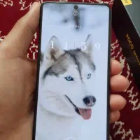 poco x6 pro|موبایل|شیراز, سرو|دیوار