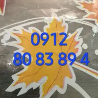 ۸۰.۸۳.۸۹.۴ ۰۹۱۲ سیمکارت