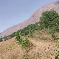 باغ در روستای خوش اب و هوای دوتو فروشی