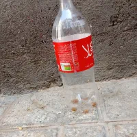 دبه یک و نیم لیتری