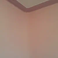 رنگ آمیزی و نقاشی ساختمان حقیقت|خدمات پیشه و مهارت|رفسنجان, |دیوار