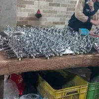 شیرآلات توالت علم دوش ظرفشوی روشوی شیرالات شلنگ