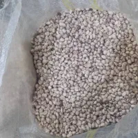گندم جهت پخت نان .|عمده‌فروشی|آباده, |دیوار